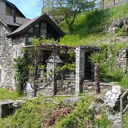 Rustico 